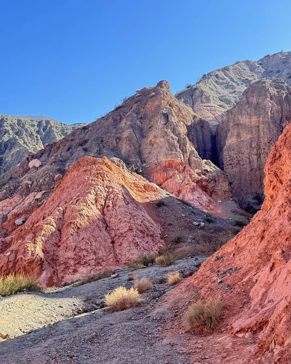 Argentine mineral landscape and industrial supply origin